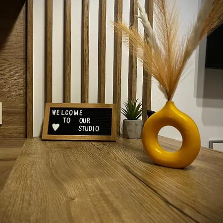 Clujstays Studio In The Heart Of Cluj Extérieur photo