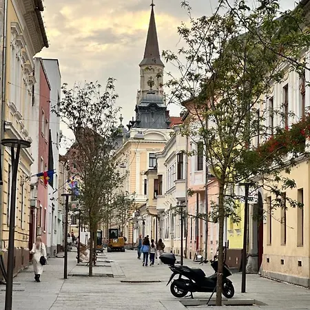Clujstays Studio In The Heart Of Cluj Extérieur photo